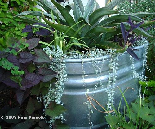 Using stock tanks in the garden